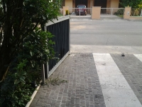 20150827_190515